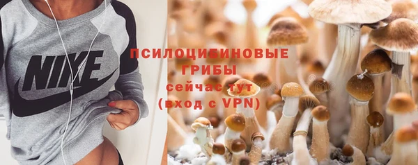 MESCALINE Надым