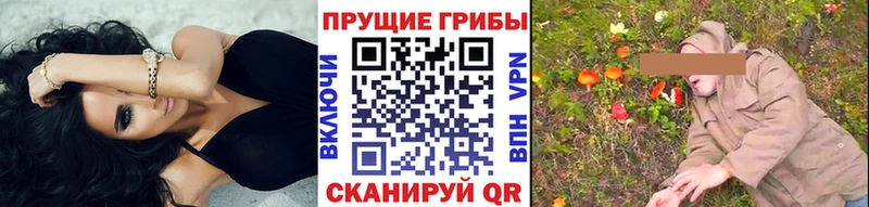 Псилоцибиновые грибы ЛСД  что такое   мориарти как зайти  Урень 