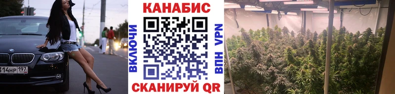 MEGA маркетплейс  Урень  Шишки марихуана SATIVA & INDICA 